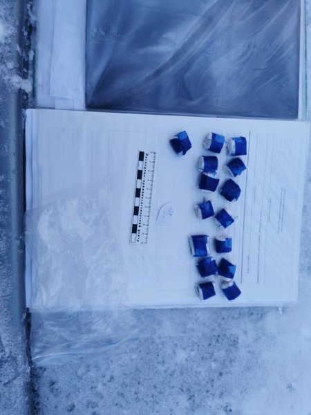 В Дзержинске наркополицейскими задержаны подозреваемые в покушении на сбыт синтетического наркотика