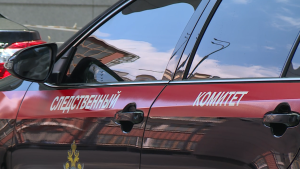 Главе ведомства будет доложено о расследовании ДТП, в результате которого пострадали пассажиры автобуса в Нижегородской области